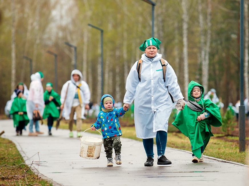 «Украшение города»: в нижнекамском парке «Семья» высадили 800 кедров